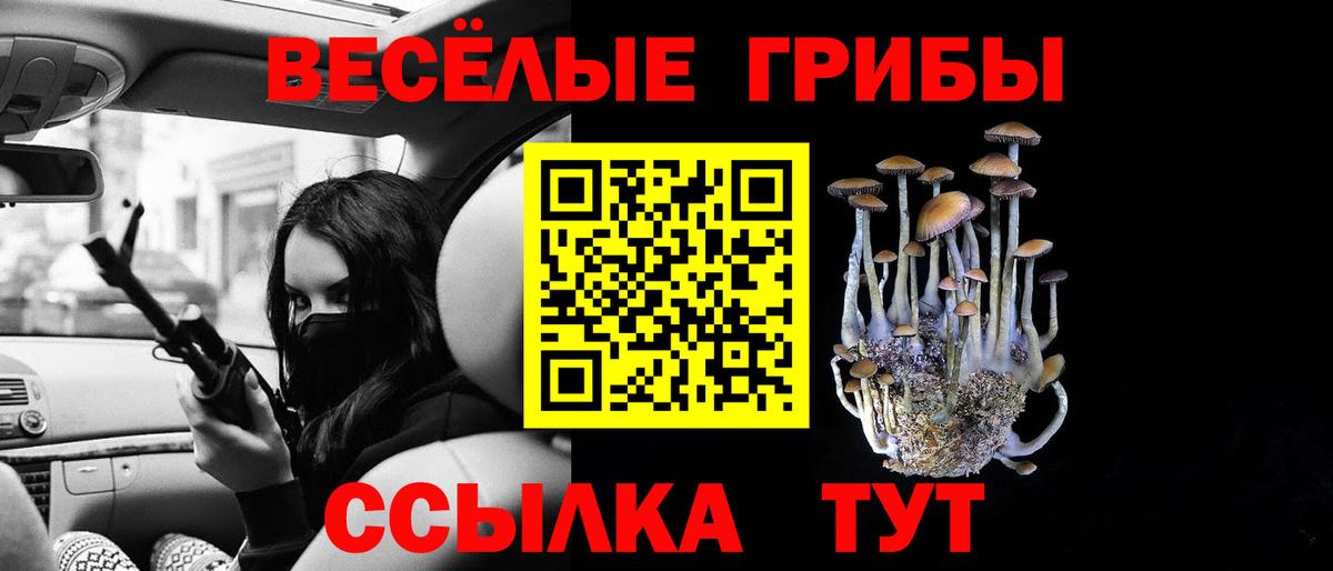 Луга  Псилоцибиновые грибы GOLDEN TEACHER  Вход с VPN 